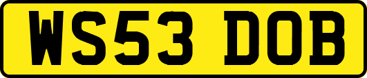WS53DOB