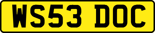 WS53DOC