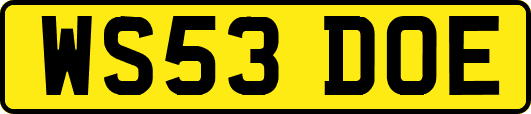 WS53DOE