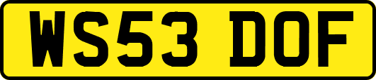 WS53DOF