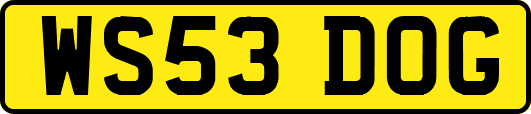 WS53DOG