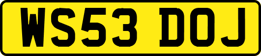 WS53DOJ