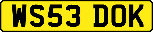 WS53DOK