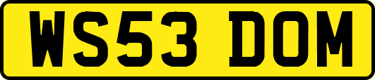 WS53DOM