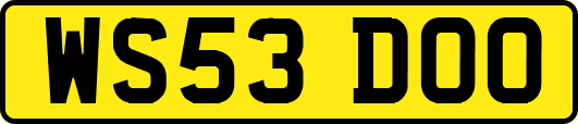 WS53DOO