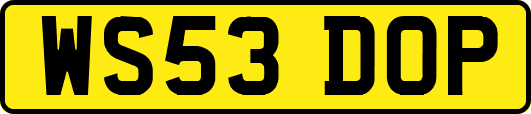 WS53DOP
