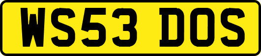 WS53DOS