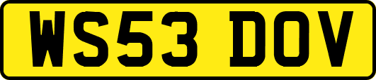 WS53DOV
