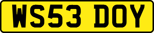 WS53DOY