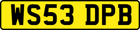 WS53DPB