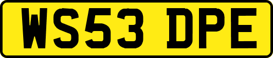 WS53DPE