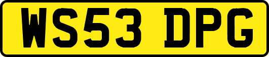 WS53DPG