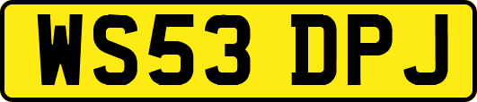 WS53DPJ