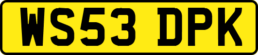 WS53DPK