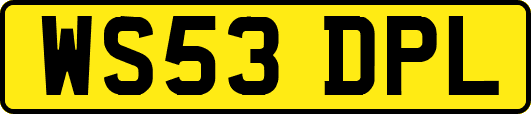 WS53DPL