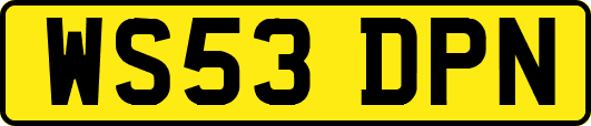 WS53DPN