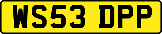 WS53DPP