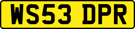 WS53DPR