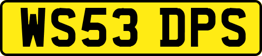 WS53DPS