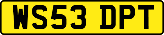 WS53DPT
