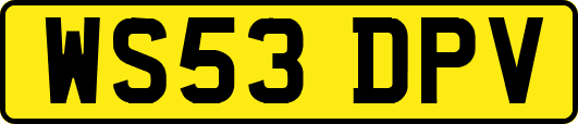 WS53DPV