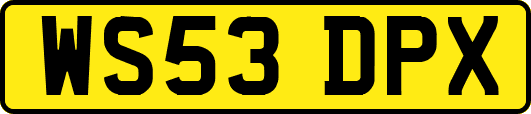 WS53DPX