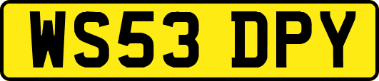 WS53DPY