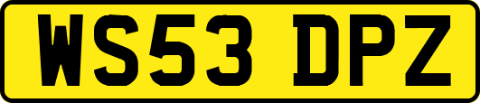 WS53DPZ