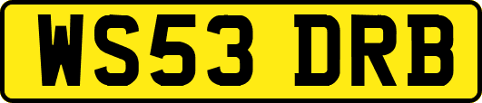 WS53DRB