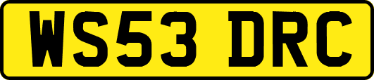 WS53DRC