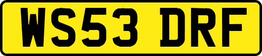 WS53DRF