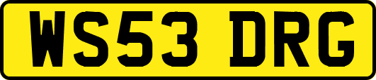 WS53DRG