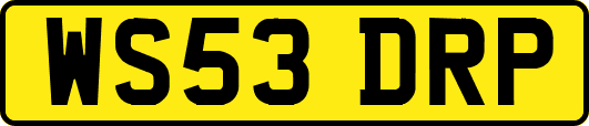 WS53DRP
