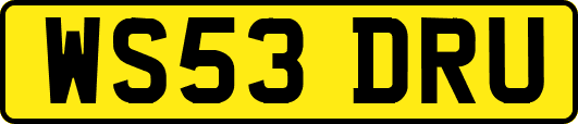 WS53DRU