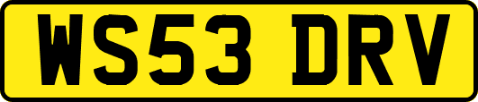 WS53DRV