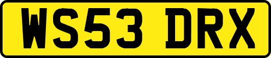 WS53DRX