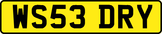 WS53DRY