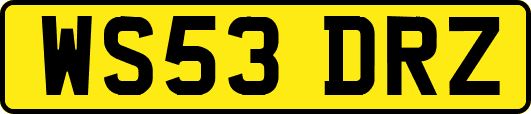 WS53DRZ