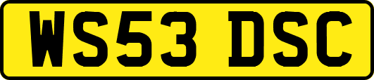 WS53DSC