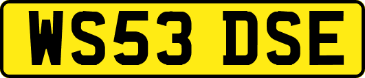 WS53DSE