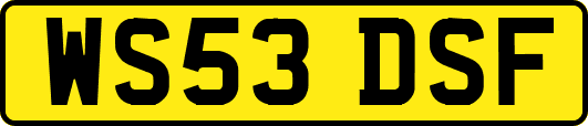 WS53DSF