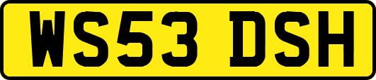 WS53DSH