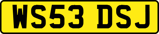 WS53DSJ