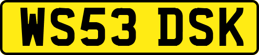 WS53DSK