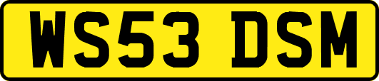 WS53DSM