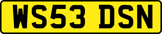 WS53DSN