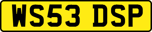 WS53DSP