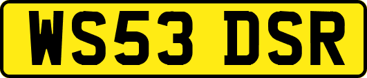 WS53DSR