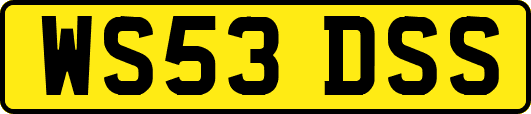 WS53DSS