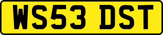 WS53DST